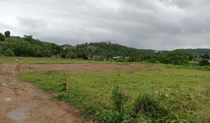 N/A Land for sale in Mae La Noi, Mae Hong Son 
