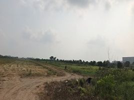  Grundstück zu verkaufen in Lam Luk Ka, Pathum Thani, Bueng Kho Hai, Lam Luk Ka, Pathum Thani