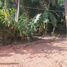  Land for sale in Mueang Phangnga Phangnga, Tham Nam Phut, Mueang Phangnga