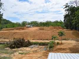  Grundstück zu verkaufen in Takua Thung, Phangnga, Tha Yu, Takua Thung