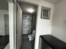 1 Schlafzimmer Wohnung zu vermieten im D Condo Mine, Kathu, Kathu