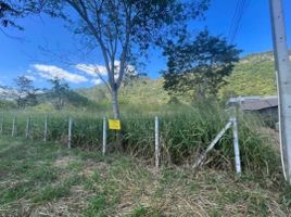  Land for sale in Pak Chong, Nakhon Ratchasima, Mu Si, Pak Chong