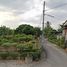  Land for sale in Saraphi, Chiang Mai, Khua Mung, Saraphi