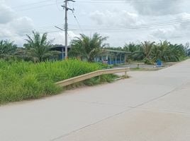  Land for sale in Chon Buri, Nong Khayat, Phanat Nikhom, Chon Buri