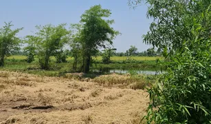 N/A Terrain a vendre à Huai Sak, Chiang Rai 