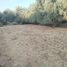  Land for sale in Al Haouz, Marrakech Tensift Al Haouz, Al Haouz