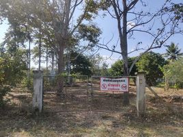 Land for sale in Nong Phueng, Saraphi, Nong Phueng