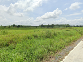  Grundstück zu verkaufen in Ko Chan, Chon Buri, Ko Chan, Ko Chan, Chon Buri