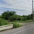  Land for sale in Roeng Rang, Sao Hai, Roeng Rang