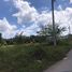  Land for sale in Makham Tia, Mueang Surat Thani, Makham Tia