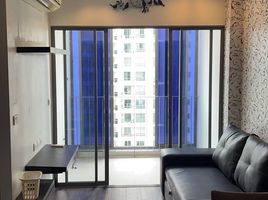 1 Bedroom Condo for rent at Ideo Q Phayathai, Thung Phaya Thai, Ratchathewi, Bangkok