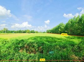  Land for sale in Phra Lap, Mueang Khon Kaen, Phra Lap