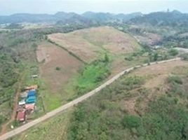  Land for sale in Pak Chong, Nakhon Ratchasima, Wang Katha, Pak Chong