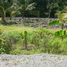  Land for sale in Bangkok, Bang Chueak Nang, Taling Chan, Bangkok