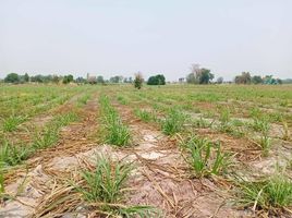  Grundstück zu verkaufen in Doem Bang Nang Buat, Suphan Buri, Nong Krathum