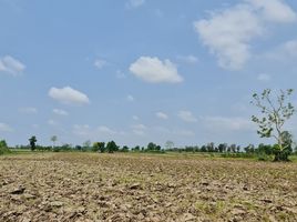 Land for sale in Chiang Rai, Huai Sak, Mueang Chiang Rai, Chiang Rai