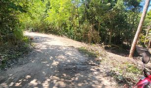 素叻 Koh Tao N/A 土地 售 