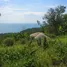  Grundstück zu verkaufen in Koh Phangan, Surat Thani, Koh Tao, Koh Phangan