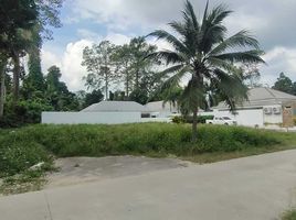  Land for sale in Surat Thani, Maenam, Koh Samui, Surat Thani