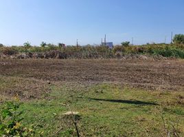  Land for sale in Don Khoi, Kamphaeng Saen, Don Khoi