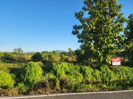  Земельный участок for sale in Ban Hong Лампхун, Lao Yao, Ban Hong