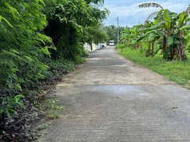  Land for sale in Rawai, Phuket Town, Rawai