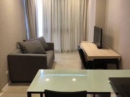 1 Bedroom Condo for rent at Palm Springs Nimman Fountain , Suthep, Mueang Chiang Mai, Chiang Mai