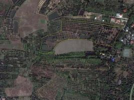  Land for sale in Saraphi, Chiang Mai, Chomphu, Saraphi