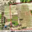  Land for sale in Mai Khao, Phuket, Mai Khao