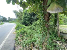  Land for sale in Na An, Mueang Loei, Na An