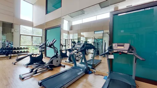 3D Walkthrough of the Communal Gym at Ananya Beachfront Wongamat