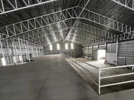  Warehouse for sale in Khlong Phraya Banlue, Lat Bua Luang, Khlong Phraya Banlue