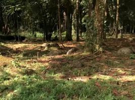  Grundstück zu verkaufen in Pococi, Limon, Pococi, Limon, Costa Rica