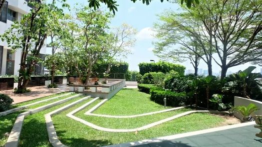 Photos 1 of the Communal Garden Area at The Pano Rama3