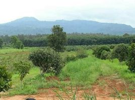  Grundstück zu verkaufen in Dan Sai, Loei, Phon Sung