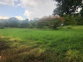  Land for sale at Wood Park Home Resort, Mu Si, Pak Chong