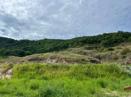  Land for sale in Bo Phut, Surat Thani, Bo Phut