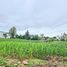 ขายที่ดิน ใน กันจุ, เพชรบูรณ์, กันจุ