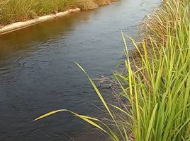  Grundstück zu verkaufen in Pran Buri, Prachuap Khiri Khan, Nong Ta Taem