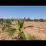  Ganzes Gebäude zu verkaufen in Marrakech, Marrakech Tensift Al Haouz, Na Sidi Youssef Ben Ali, Marrakech