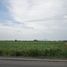  Land for sale in Saraburi, Wang Muang, Wang Muang, Saraburi