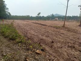  Land for sale in Chon Buri, Nong Suea Chang, Nong Yai, Chon Buri