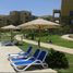 1 Bedroom Apartment for rent at Palm Parks Palm Hills, South Dahshur Link, 6 October City, Giza, Egypt