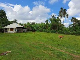  Grundstück zu verkaufen in Tabanan, Bali, Selemadeg