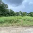  Grundstück zu verkaufen in Mueang Nakhon Si Thammarat, Nakhon Si Thammarat, Pak Nakhon, Mueang Nakhon Si Thammarat, Nakhon Si Thammarat