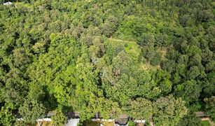 N/A Land for sale in Mae Sa, Chiang Mai 