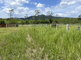  Land for sale in Phangnga, Bang Thong, Thai Mueang, Phangnga