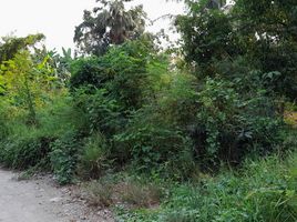  Land for sale in Nakhon Chai Si, Nakhon Pathom, Thaiyawat, Nakhon Chai Si