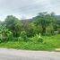  Land for sale in Phuket, Thep Krasattri, Thalang, Phuket