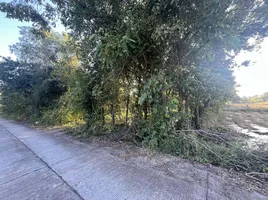  Land for sale in Buri Ram, Chum Het, Mueang Buri Ram, Buri Ram